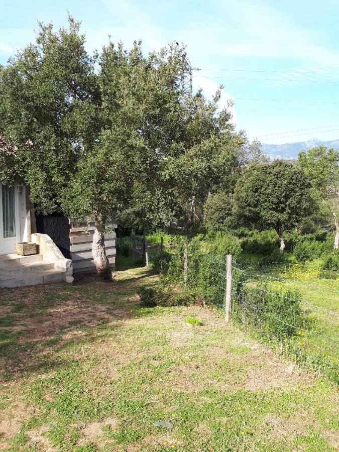Casa Gattu Βίλα Πόρτο Βέκιο Εξωτερικό φωτογραφία