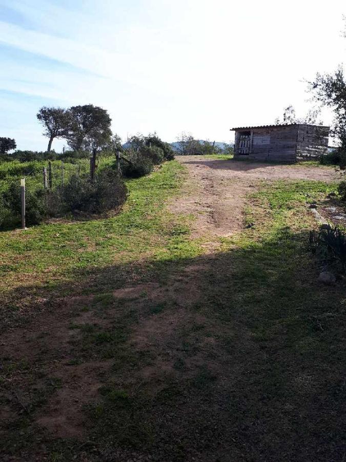 Casa Gattu Βίλα Πόρτο Βέκιο Εξωτερικό φωτογραφία