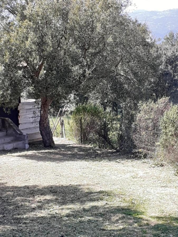 Casa Gattu Βίλα Πόρτο Βέκιο Εξωτερικό φωτογραφία