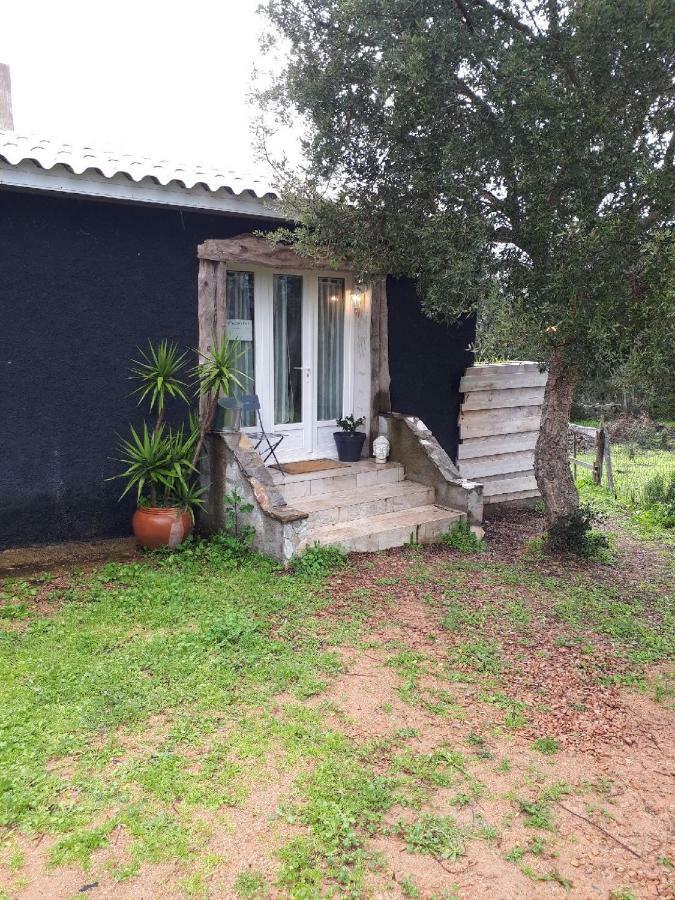 Casa Gattu Βίλα Πόρτο Βέκιο Εξωτερικό φωτογραφία