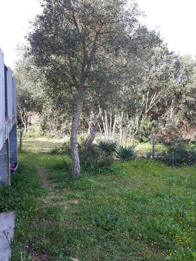 Casa Gattu Βίλα Πόρτο Βέκιο Εξωτερικό φωτογραφία
